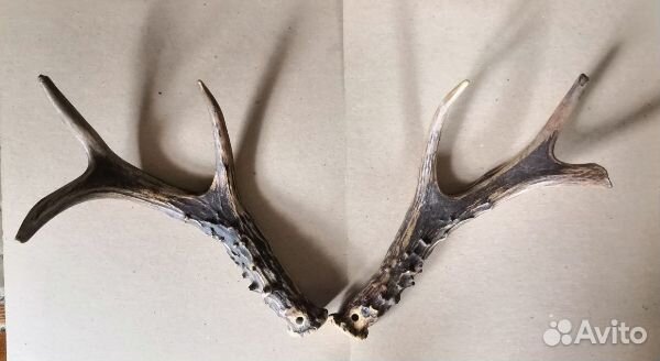 Интерьерные вещички