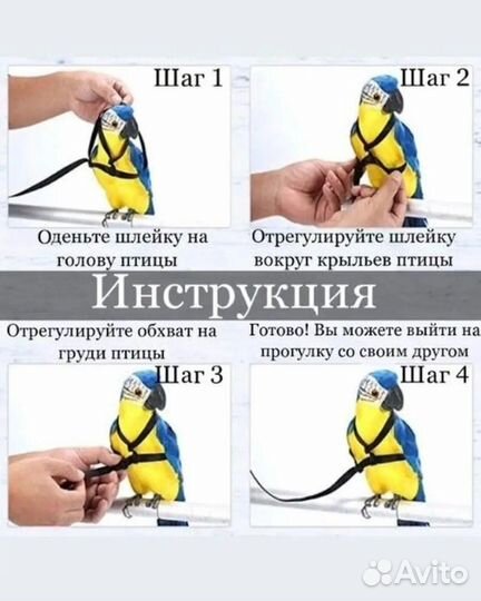 Шлейка для попугая