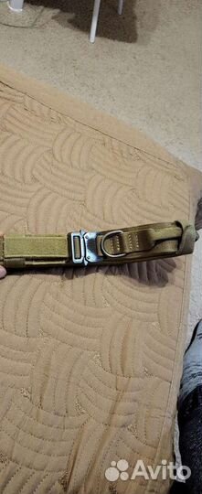 Ошейник для сабаки