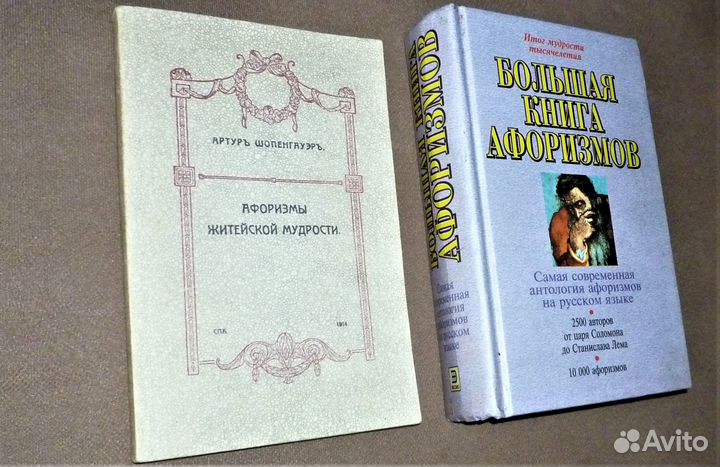 Большая книга афоризмов Душенко Шопенгауэр