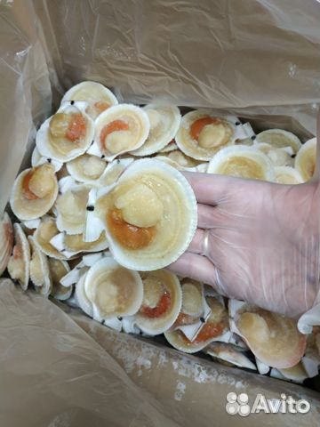 Морепродукты, икра, рыба, креветки