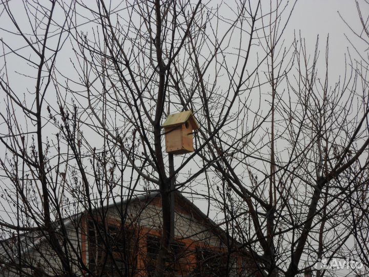 Скворечник