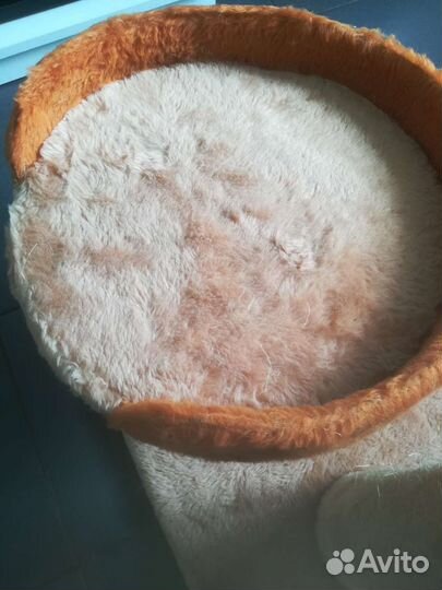 Лежанка и когтеточка для кошки