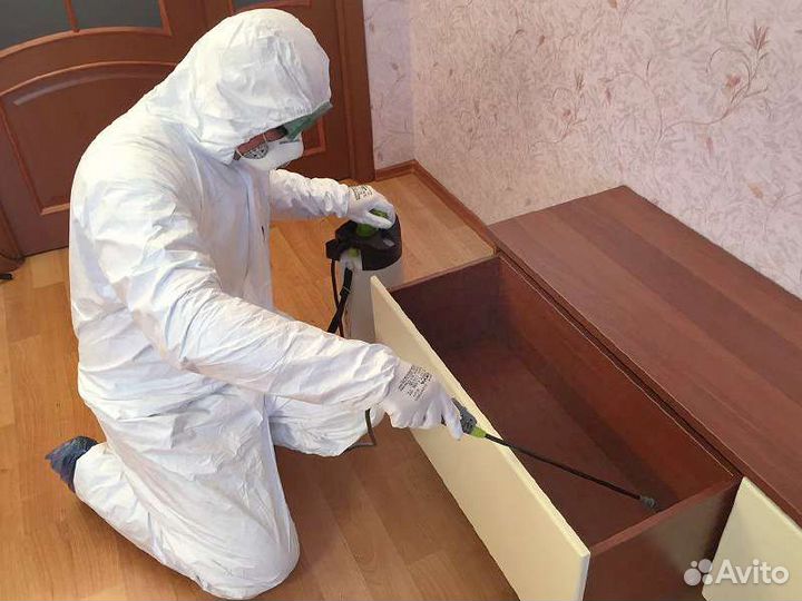 Уничтожение тараканов, клопов, мышей, муравьёв