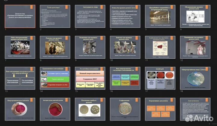 Презентация на заказ