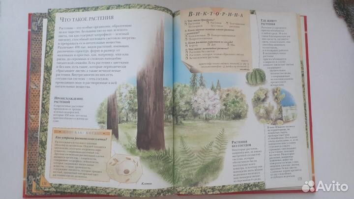 Большая книга 