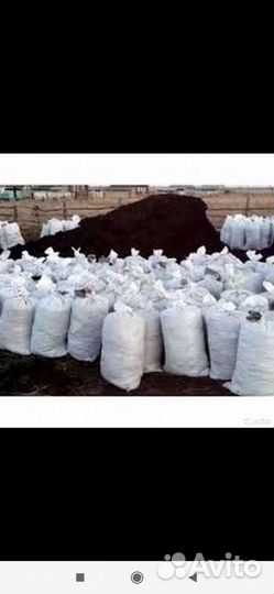 Конский навоз