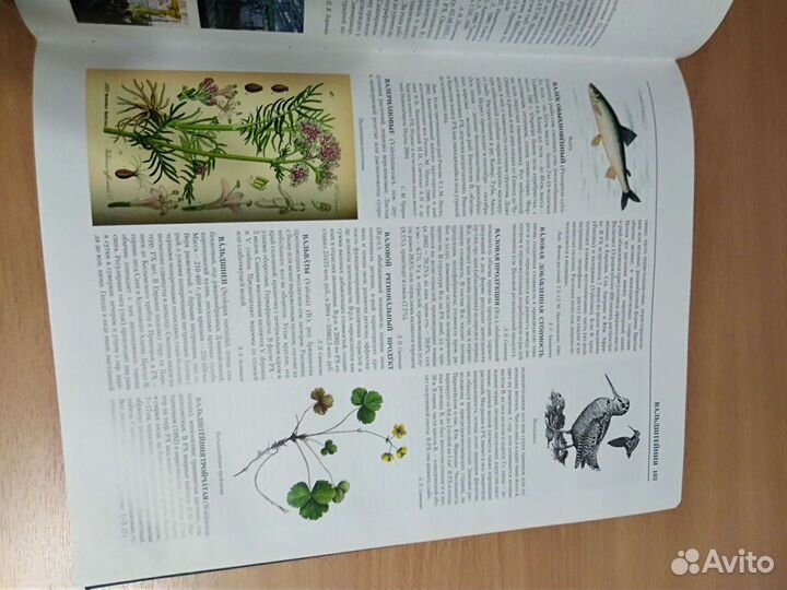 Энциклопедия Республики Хакасия