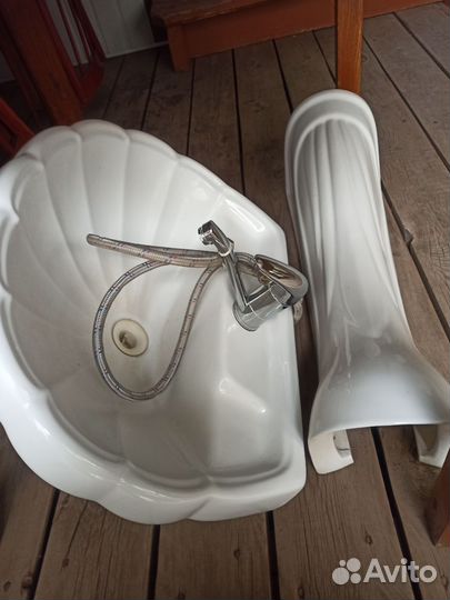 Раковина ракушка с ногой