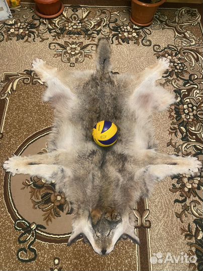 Ковер из шкуры волка