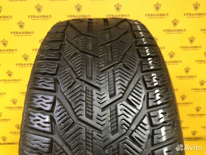 Tigar Winter 245/45 R18 100V