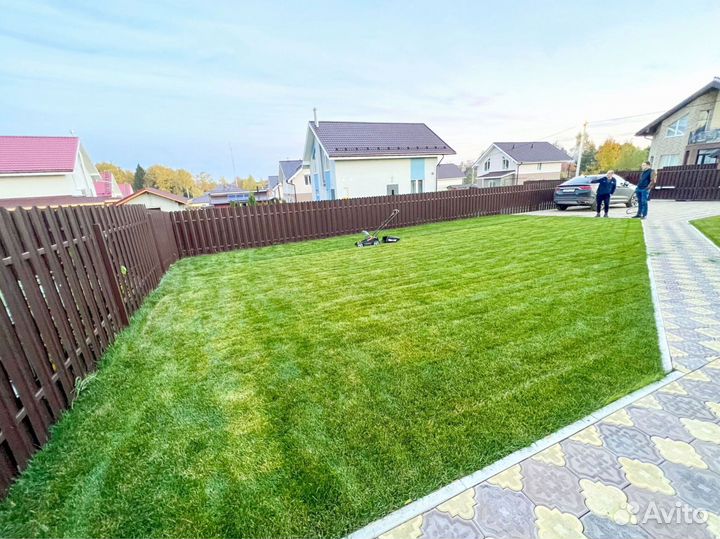 Рулонный газон для дома