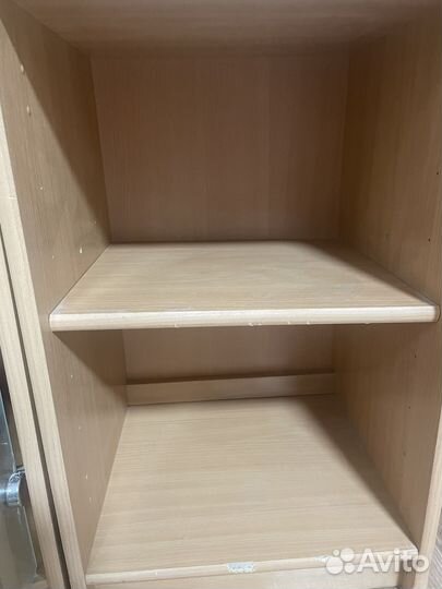 Витрина для шиншилл