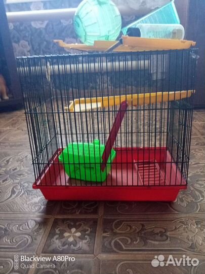 Клетка для хомяка бу