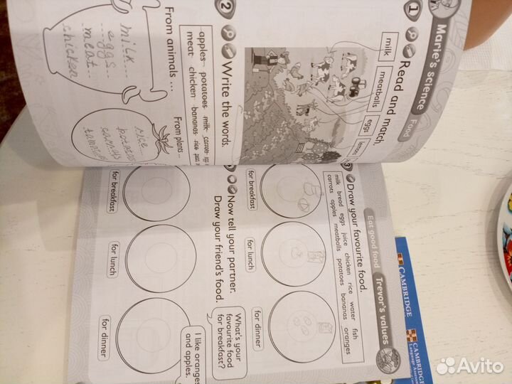 2 часть Kids Box