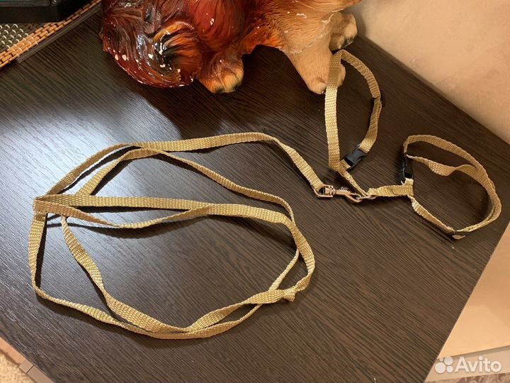 Поводок для кошек