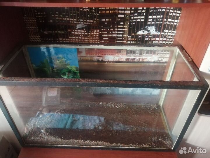 Аквариум