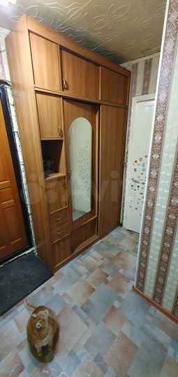 2-к. квартира, 37,2 м², 3/5 эт.