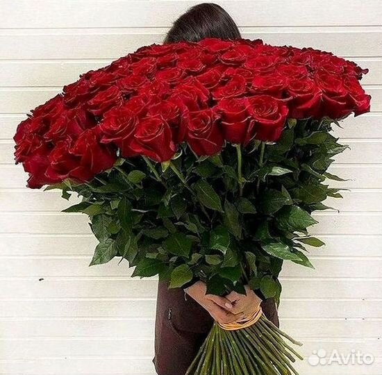 Высокие розы Гигантские розы 110