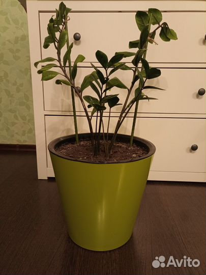 Цветочный горшок