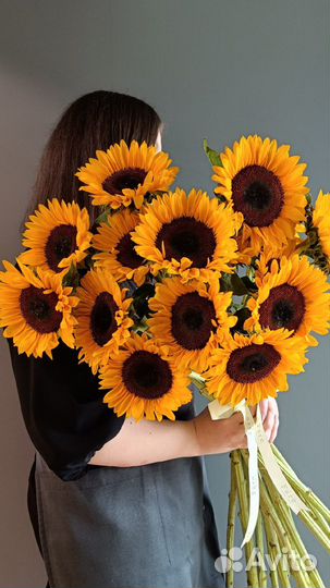 Подсолнухи Букет подсолнухов