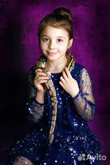 Змея питон в аренду для фотосессии