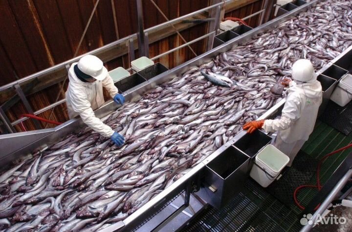 Разнорабочий