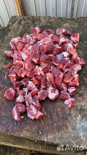 Говядина собакам. Ливер, рубец и тп. Доставка
