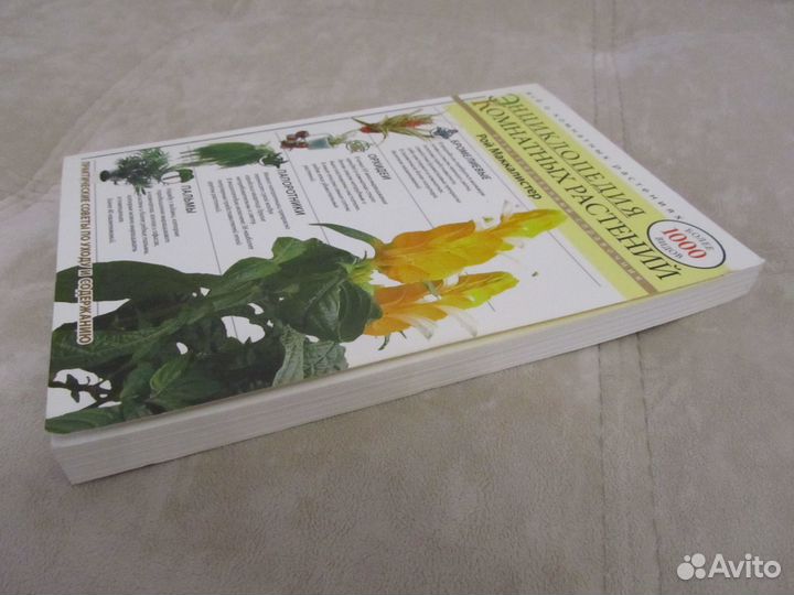 Энциклопедия комнатных растений Рой Маккалистер