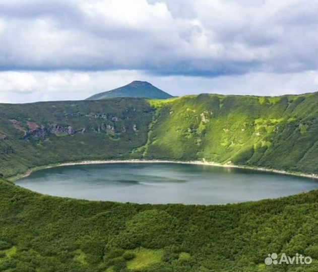 Трансфер, аренда авто с водителем