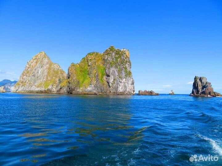 Морская прогулка к острову Старичков