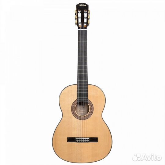 Cascha CGC310 Performer Series