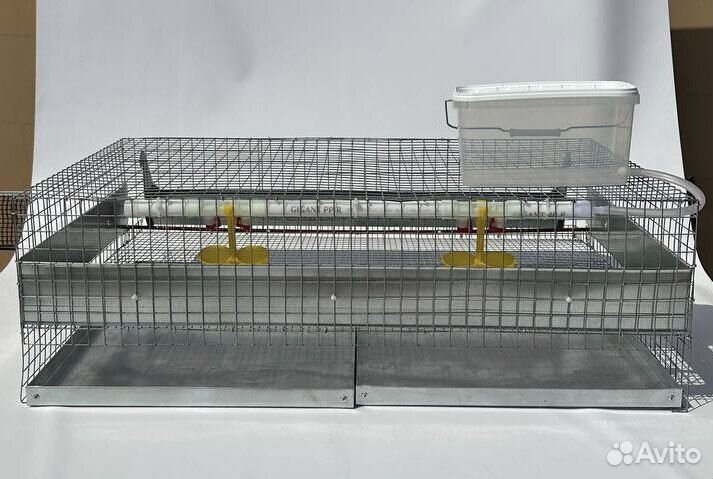 Клетки для 50 перепелов