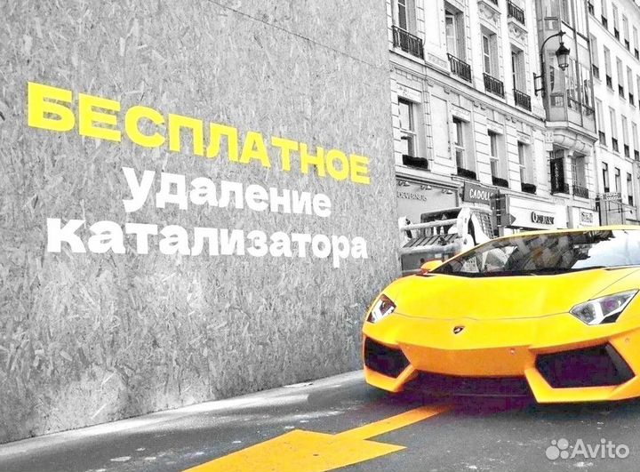 Удаление катализатора и прошивка Евро 31