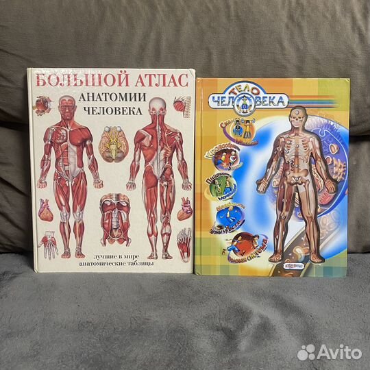 Книги про Анотомию человека