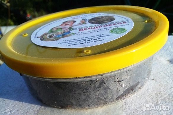 Черви для рыбалки дендробена венета