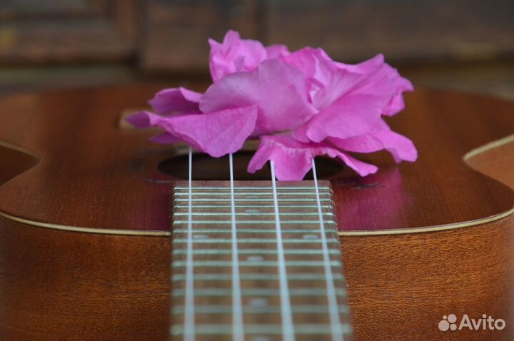 Репетитор. Баян. Аккордеон. Укулеле