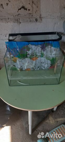 Аквариум