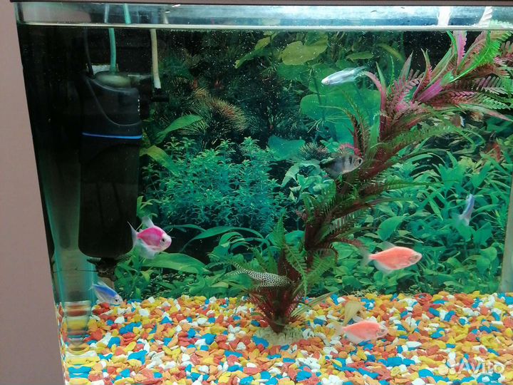 Аквариум