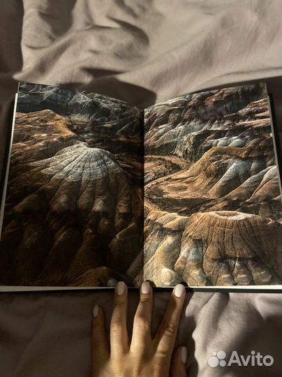 Александр Палиенко 