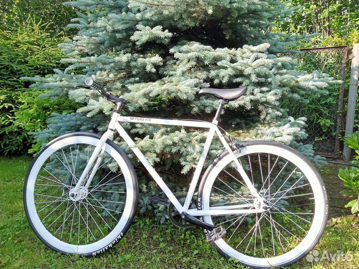 Стильный синглспид Zulu