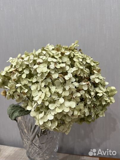 Ваза для цветов