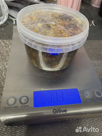 Мед в сотах 2024