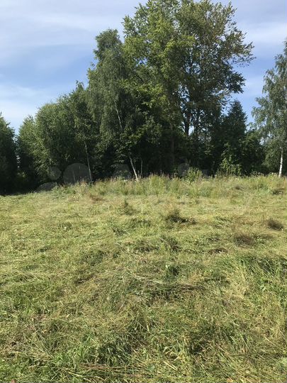 Участок 12,5 сот. (СНТ, ДНП)