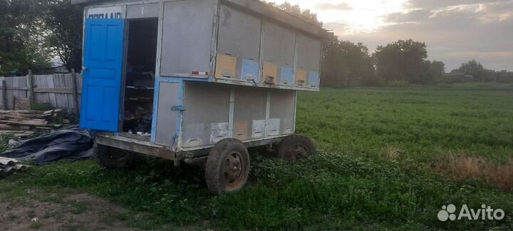 Для животных