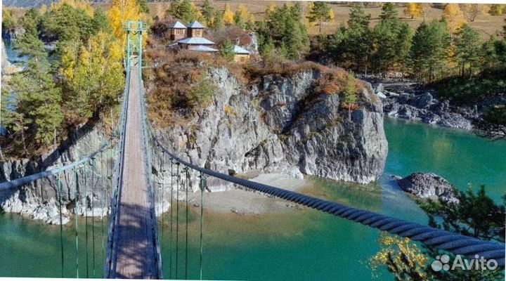 Тур поездка Алтай летний программа 4-7 дней