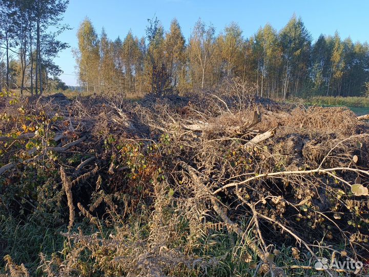 Дрова бесплатно (берёза и осина) самовывоз