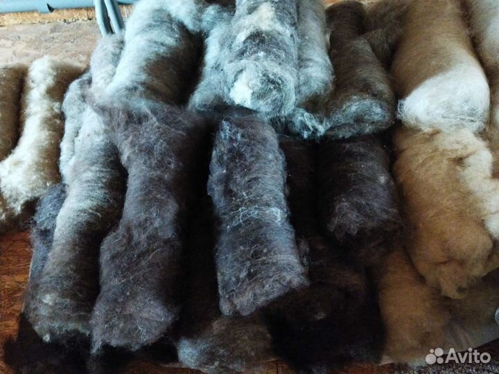 Шерсть овечья
