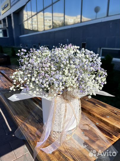 Гипсофила букет цветы