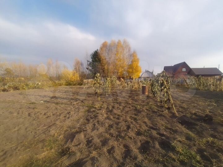 Участок 5,5 сот. (СНТ, ДНП)